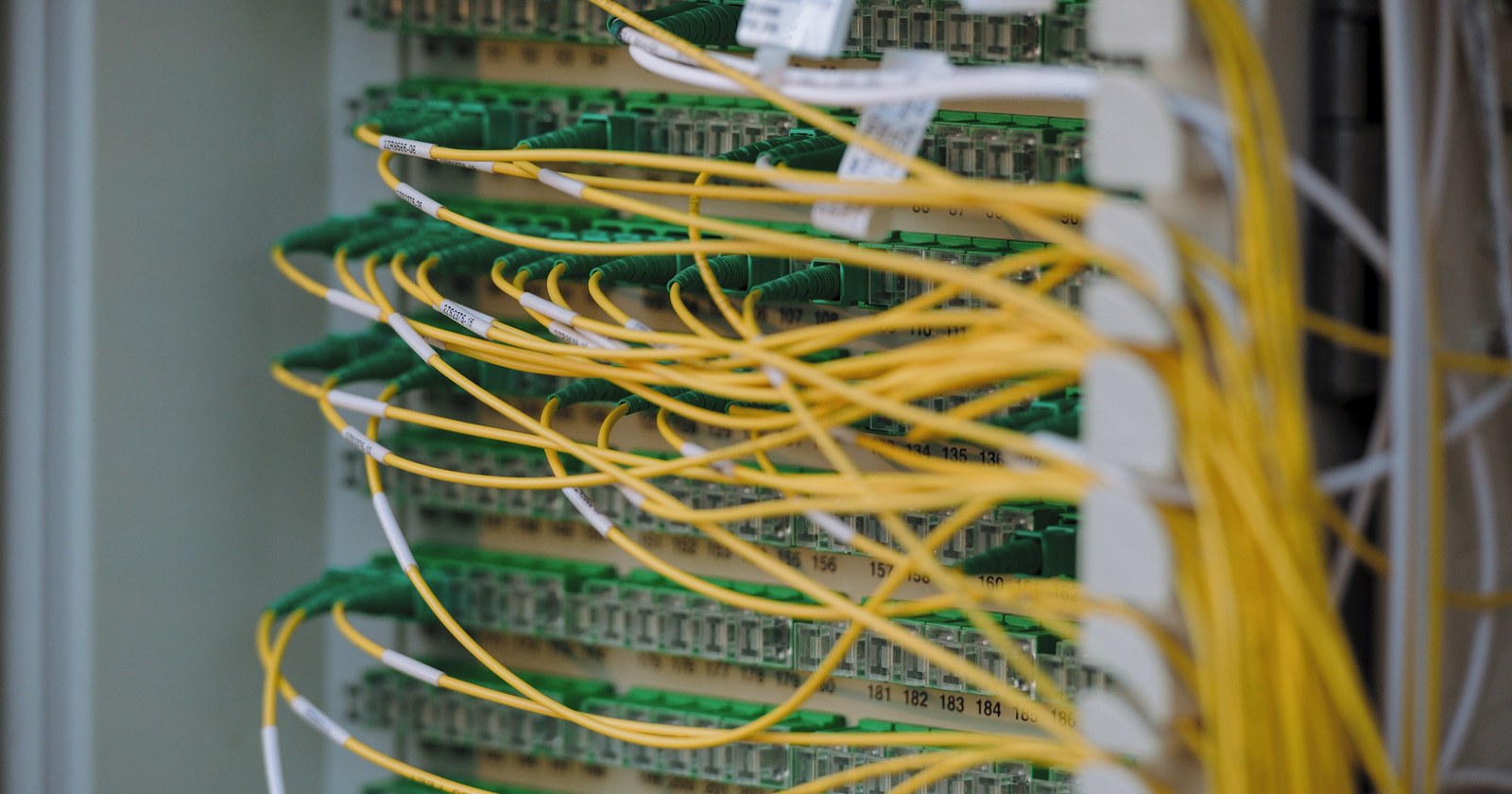 Yellow and green network cables neatly connected in a patch panel