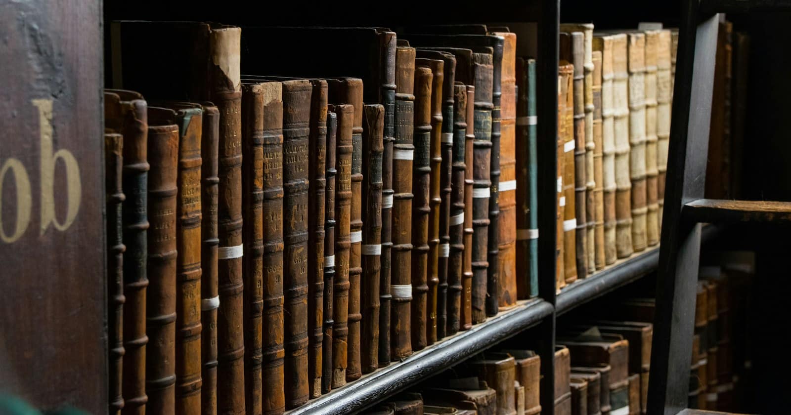 Rows of old leather-bound volumes on library shelves beside a wooden ladder